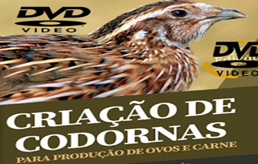 Curso de Criação e Reprodução de Codornas