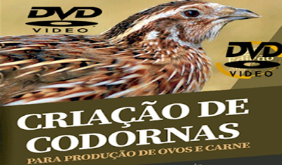 Curso de Criação e Reprodução de Codornas