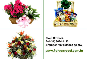 Nova União, São Sebastião do Oeste MG floricultura, flores, cestas café da manhã, coroa de flores