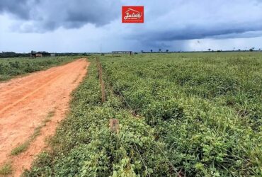 ÁREA PARA ARRENDAMENTO EM SANTA CRUZ DO XINGU-MT