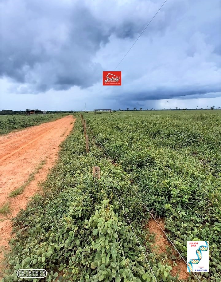 ÁREA PARA ARRENDAMENTO EM SANTA CRUZ DO XINGU-MT